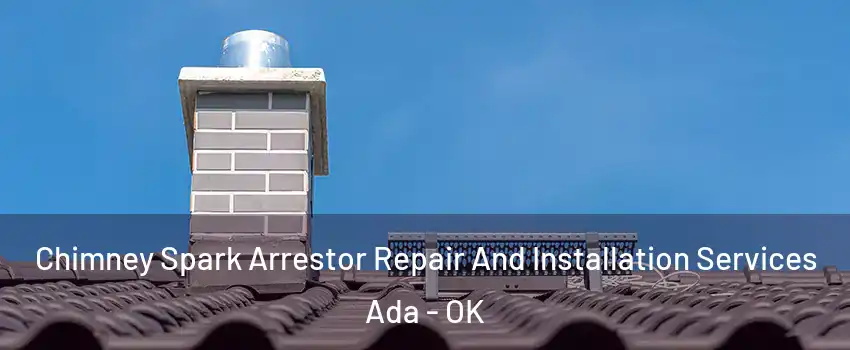  Chimney Spark Arrestor Repair And Installation Services Ada - OK