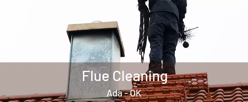  Flue Cleaning Ada - OK