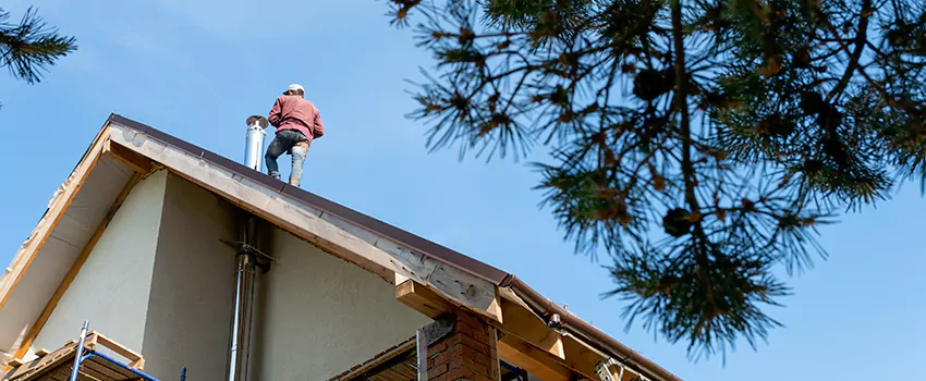 Birds Removal Contractors from Chimney in Ada, OK