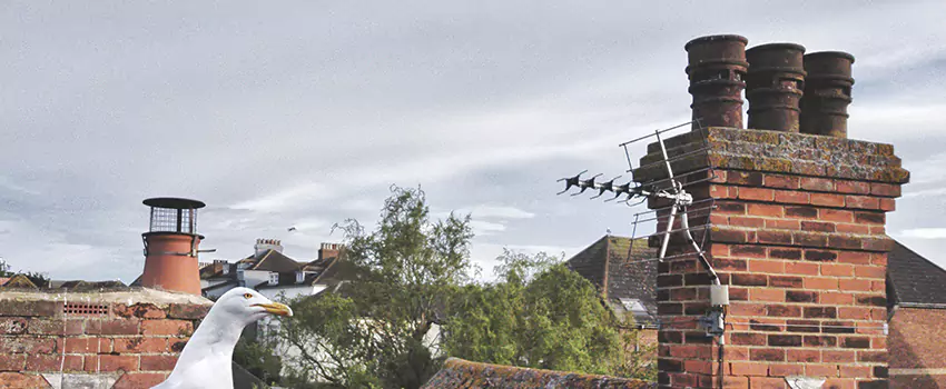 Chimney Cleaning And Restoration in Ada, Oklahoma